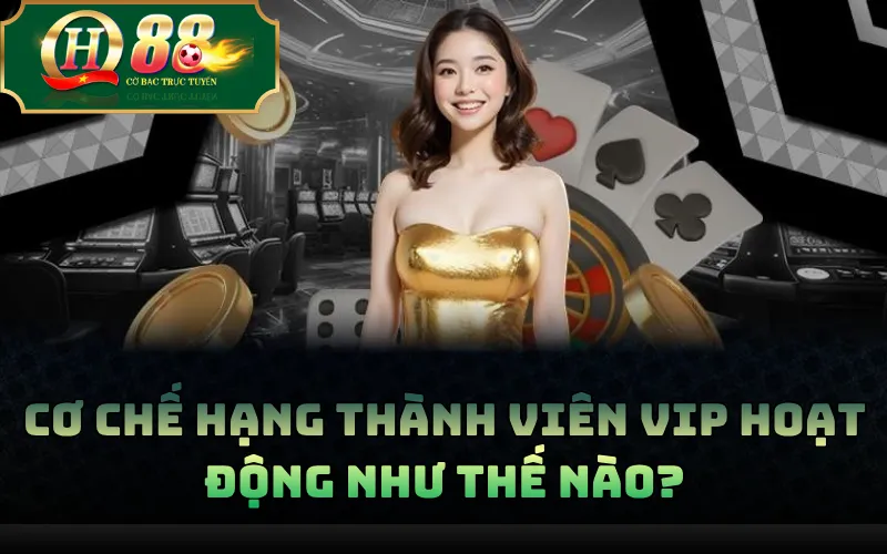 VIP QH88: Hạng Thành Viên, Quyền Lợi Và Cách Nâng Hạng 2 Cơ chế hạng thành viên VIP hoạt động như thế nào?