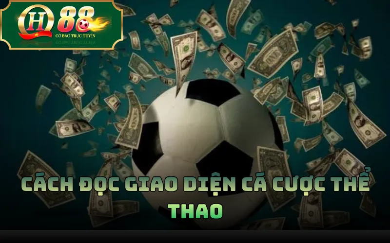 Cách đọc giao diện cá cược thể thao
